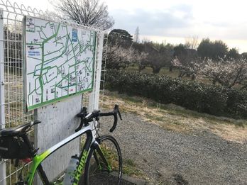 2月13日～2月15日　練習レポート