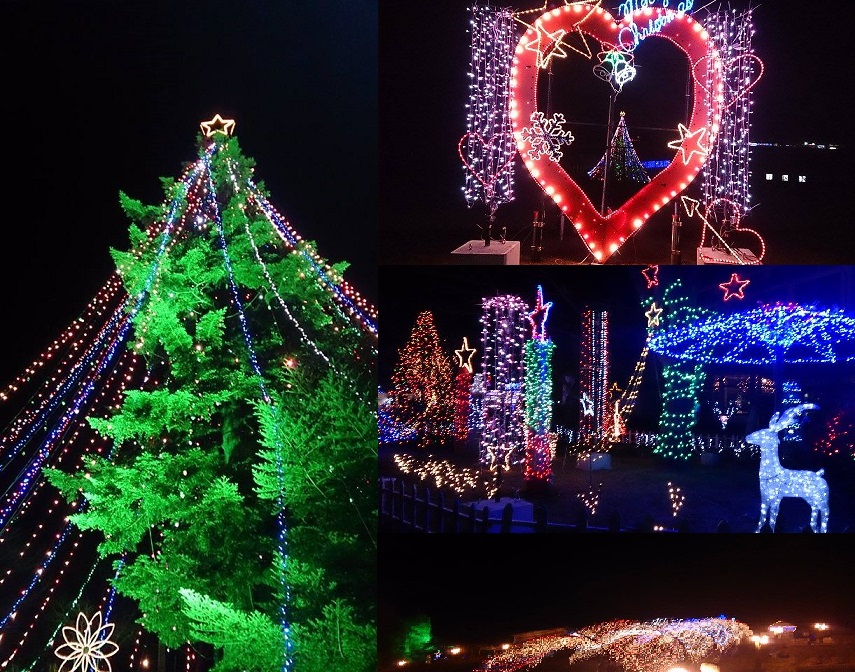 12月23日「宮ケ瀬湖クリスマスライド」